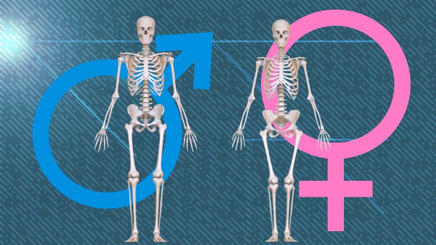 Anthropological Association Conference Cancels Panel on Biological Sex in Skeletons Over ‘Transphobia’ Fears