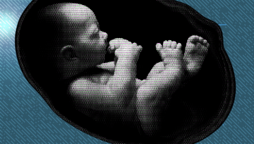 Kansas Governor Vetoes Fetus Child Support Bill